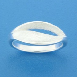 Zilveren Ring mat/glans ( 1322167 ) - 10027955