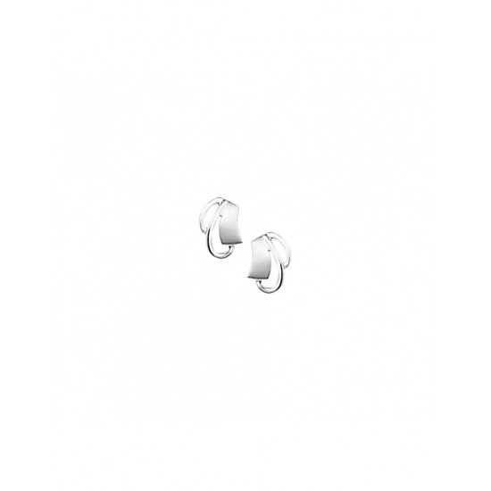 Zilveren oorknoppen ( 1323121 ) - 10027667