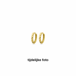 geelgouden 14krt klapoorringen gediamanteerd  10.5x1.5mm - 30037851