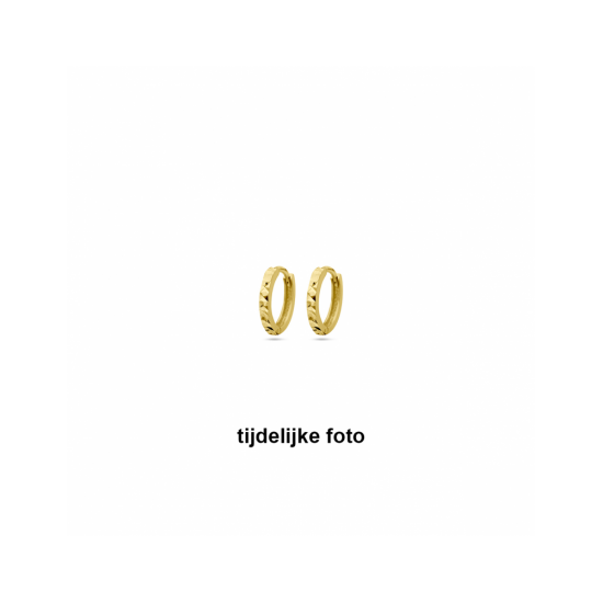 geelgouden 14krt klapoorringen gediamanteerd  10.5x1.5mm - 30037851